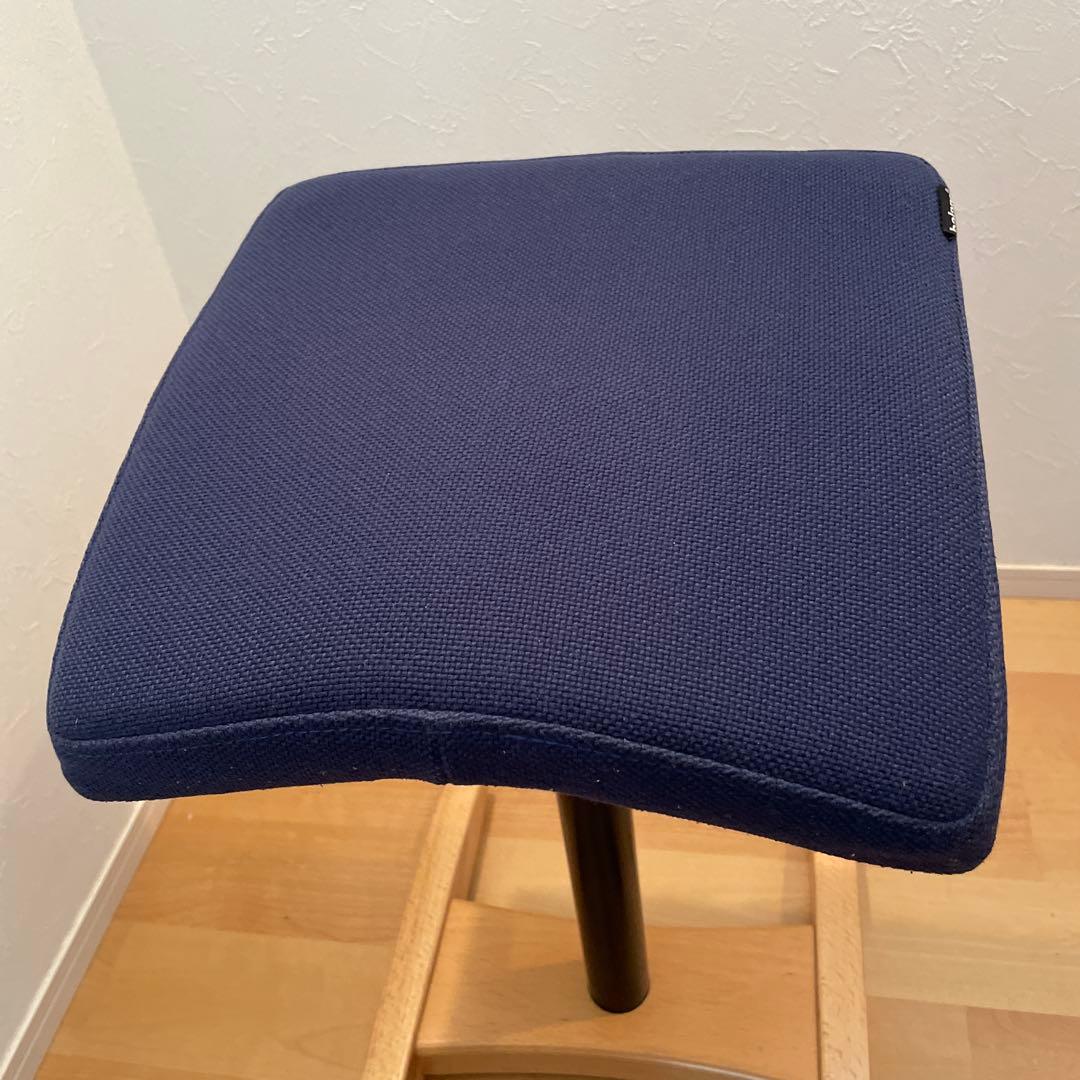 Balans Synergy バランスシナジー　スクエアシート　専用カバー付