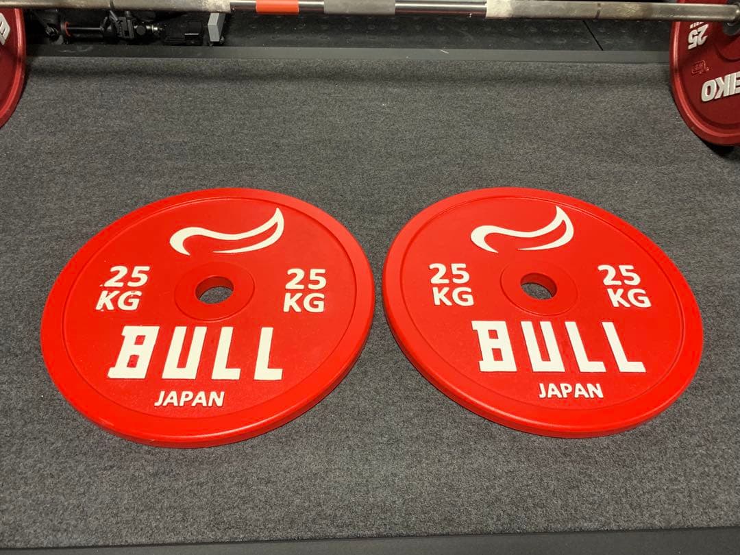 専用　BULL 25KG ウエイトプレート 2枚セット
