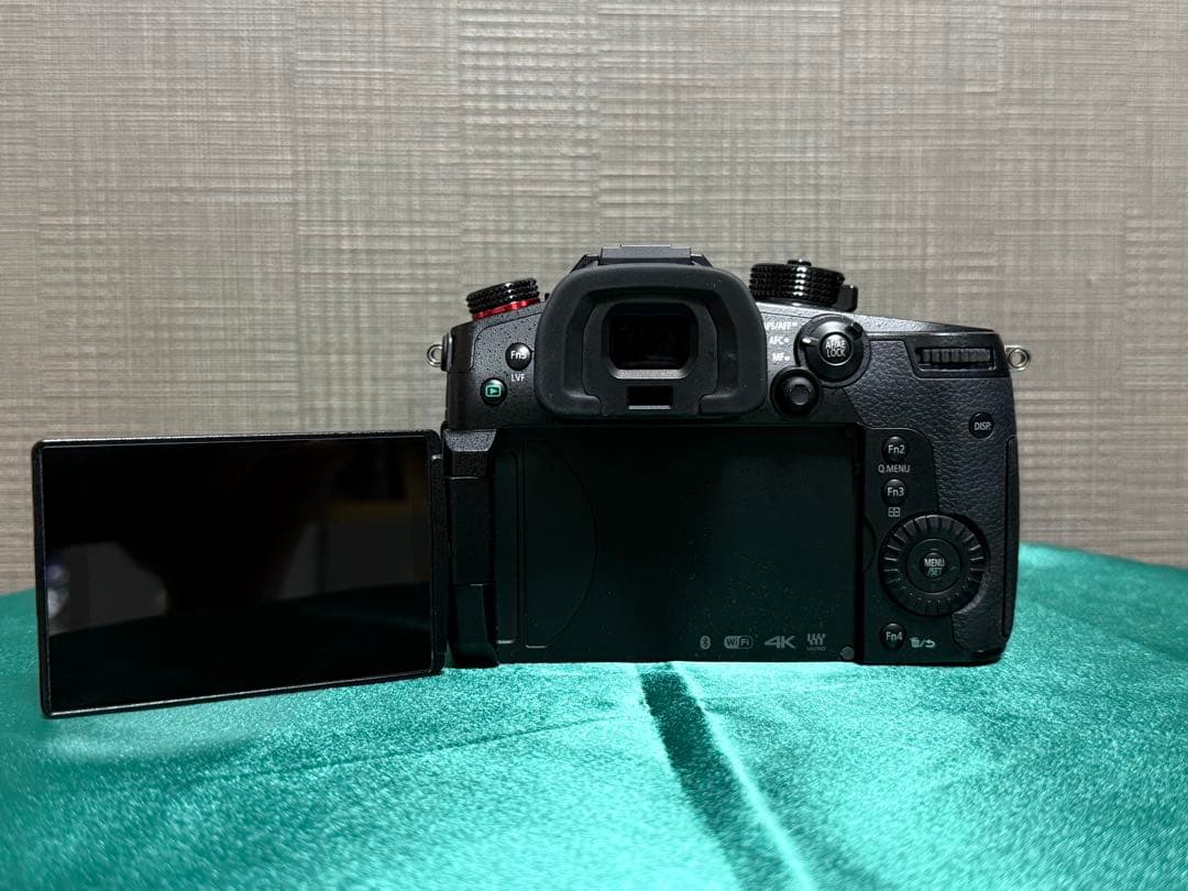Panasonic LUMIX GH5S 本体　ミラーレス一眼 ☆美品・完動品