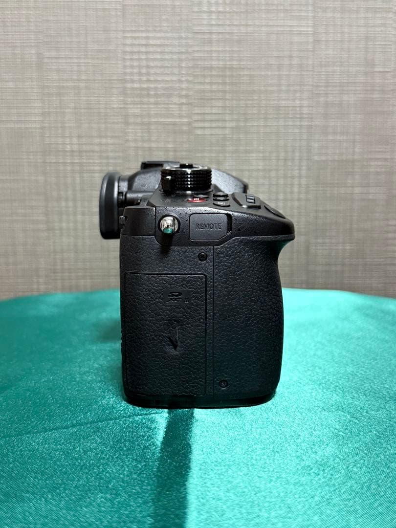 Panasonic LUMIX GH5S 本体　ミラーレス一眼 ☆美品・完動品