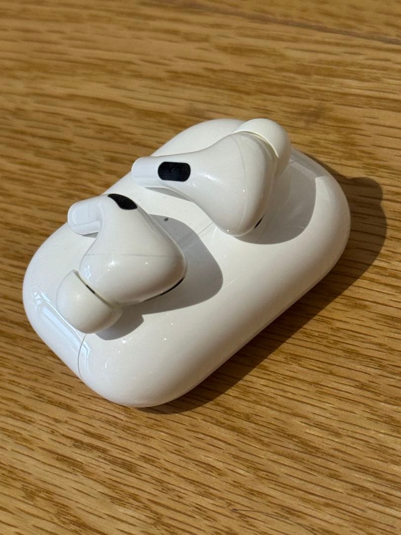 Apple AirPods Pro(第1世代) 付属品あり