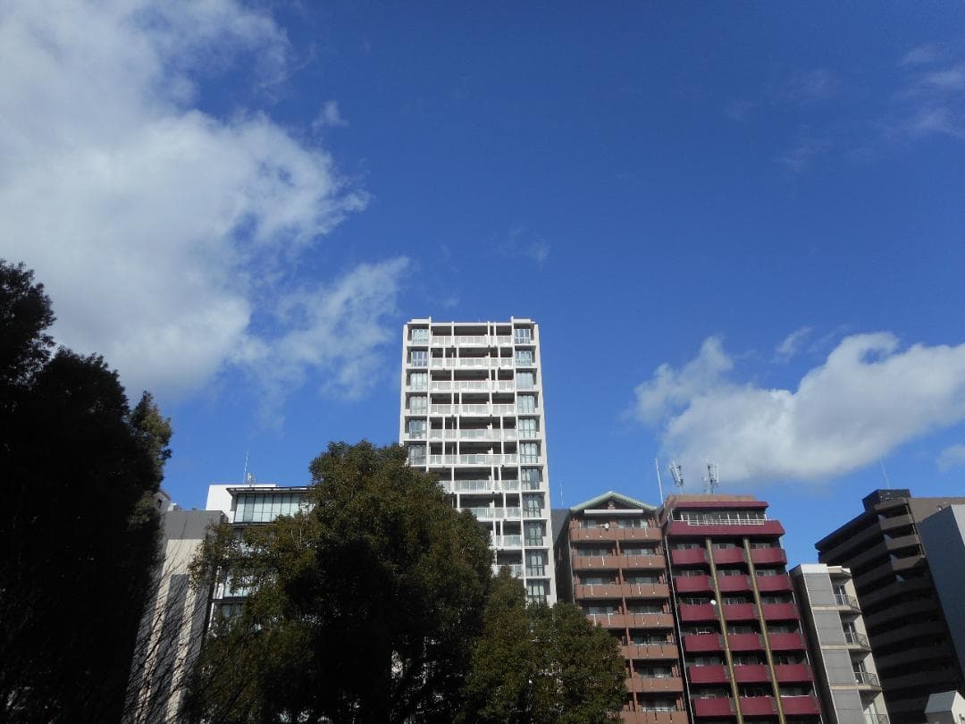 【スマホ転送OK】ニコン Nikon COOLPIX S3600 ピンク