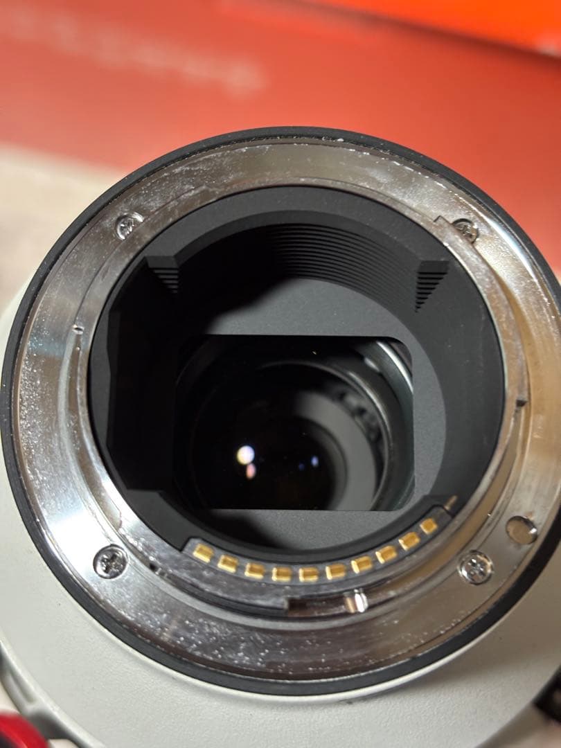 ソニー　SONY FE 200-600mm F5.6-6.3 G OSS