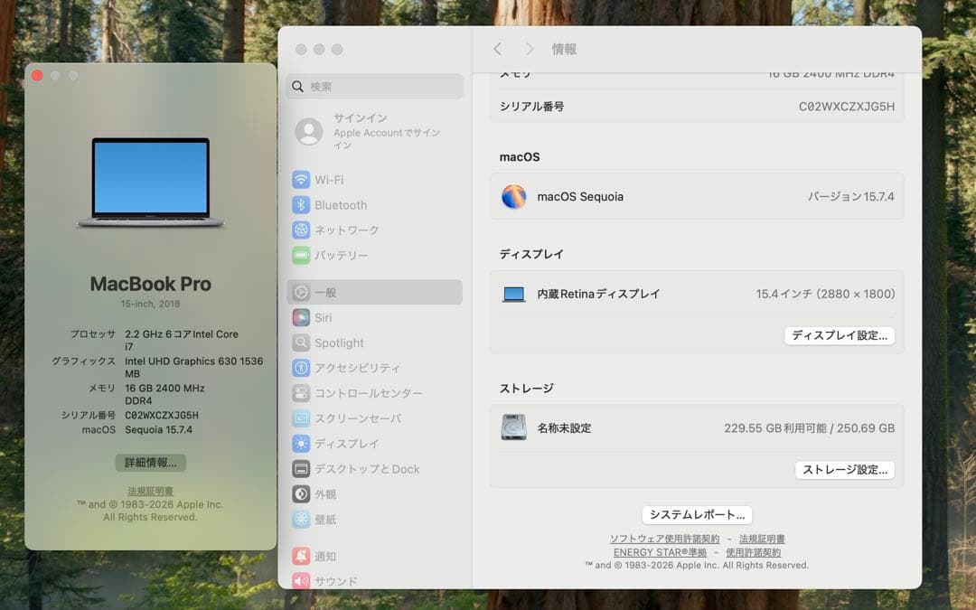 MacBook本体 Apple MacBook Pro 15 2018 i7/16GB/250Gb