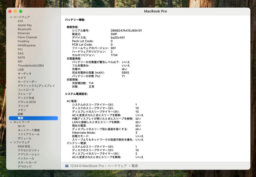 MacBook本体 Apple MacBook Pro 15 2018 i7/16GB/250Gb