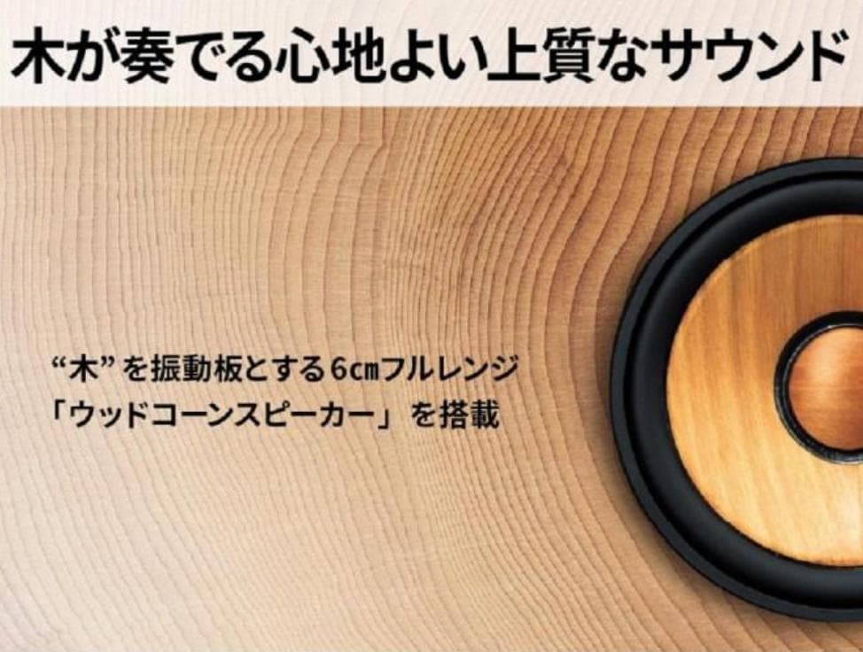 EX-DM10 新品未使用・未開封