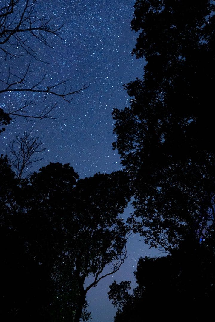 GSWGAW 【美品】FE 24mm F1.4 GM 単焦点レンズ