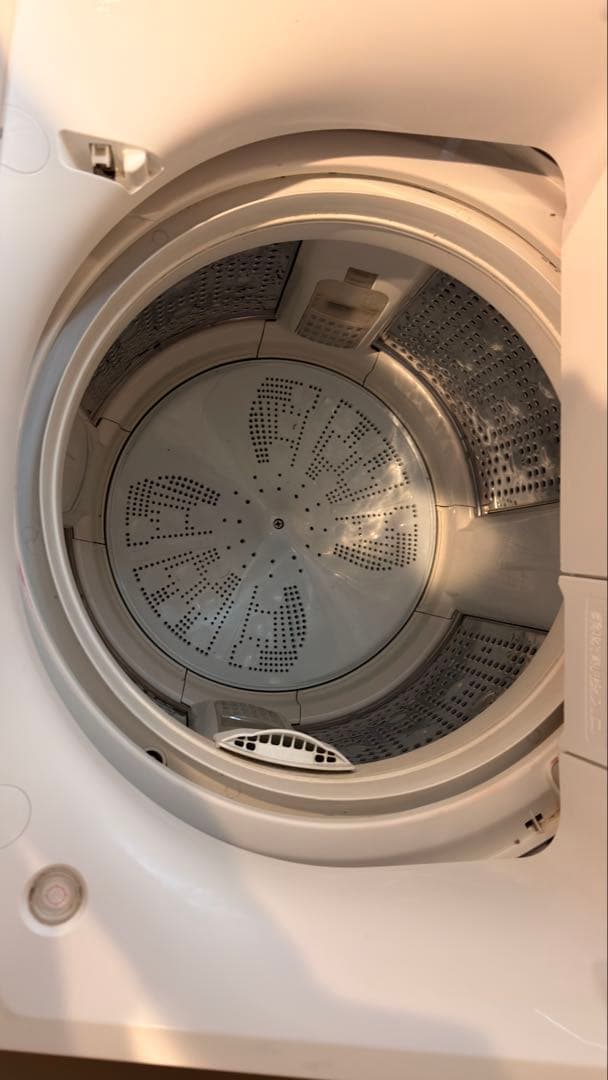 日立 縦型洗濯機BW-X100F洗剤自動投入10kg　2020年制最後のお値下げ