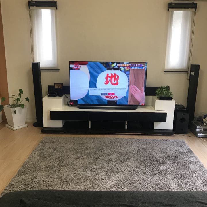 【LG 】有機EL  4Kテレビ　55型   長期保証加入