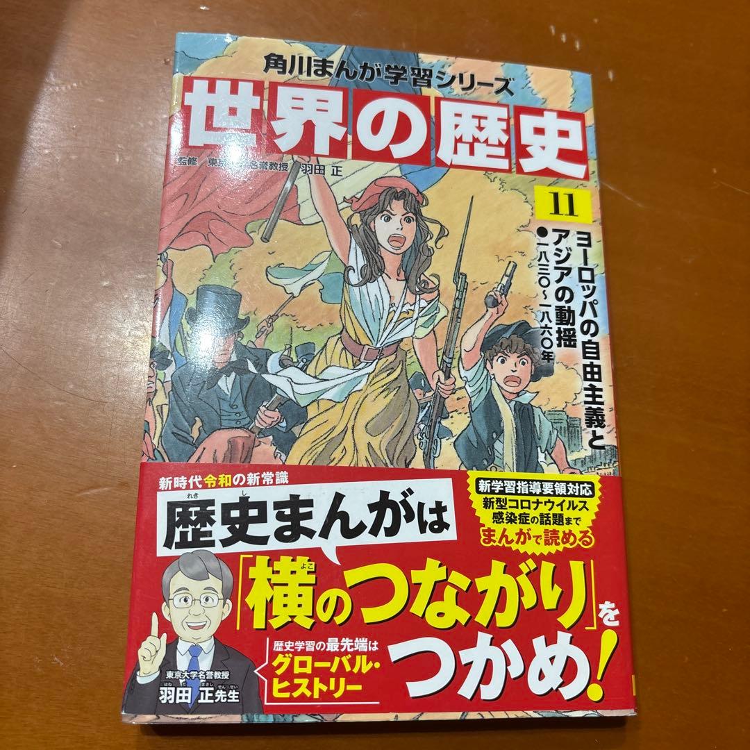 世界の歴史 20冊　まとめ売り