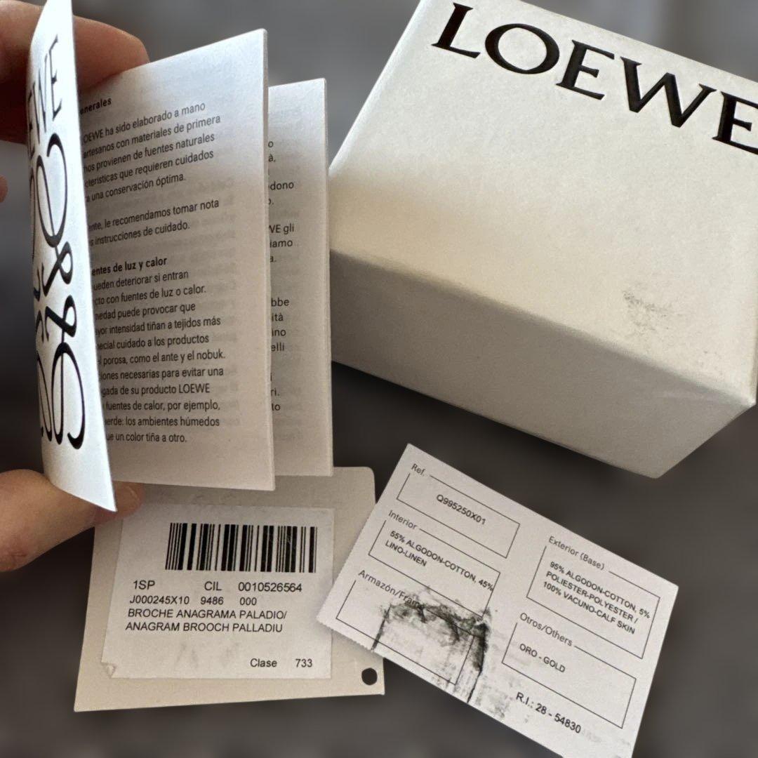 雨雨雨　　LOEWE ブローチ