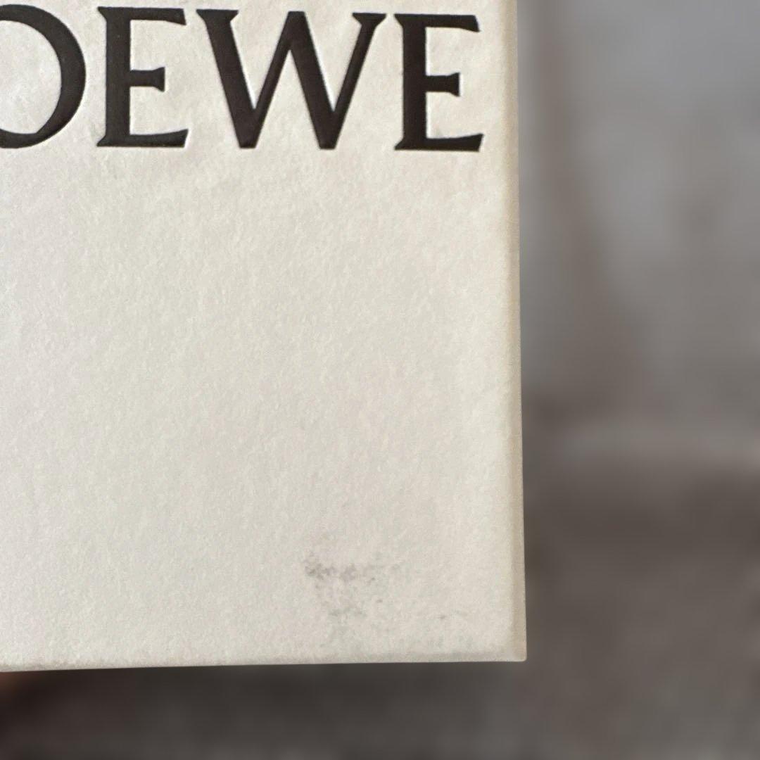 雨雨雨　　LOEWE ブローチ