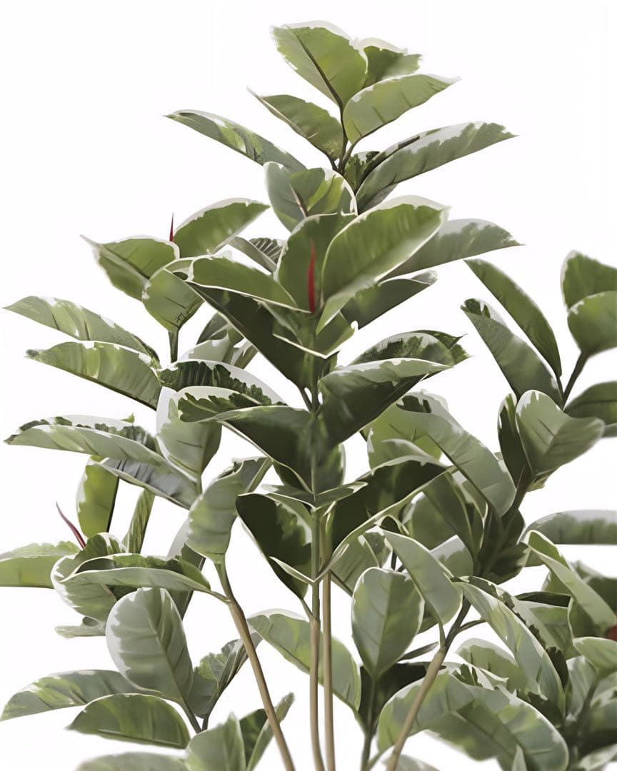 光触媒　人工観葉植物　ウォールグリーン　フェイクグリーン　アルテシマＤＸ　1.6