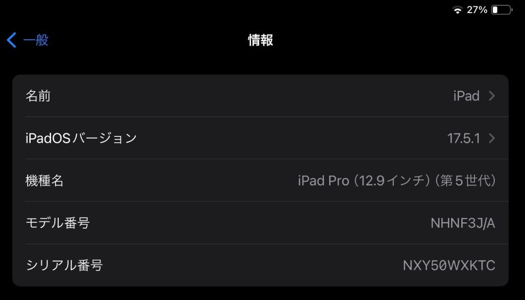 Apple iPad Pro 第5世代 12.9インチ 128GB