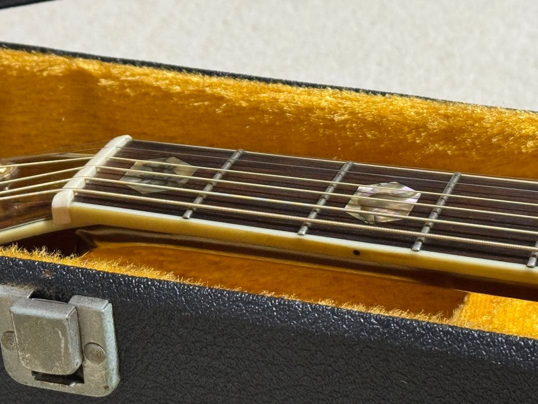 morris tf-805 ハカランダ ジャパンビンテージ 美品