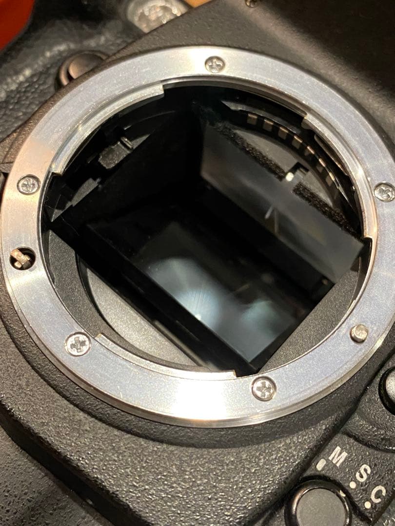 Nikon D100 デジタル一眼レフ　タムロン　18-200 動作品