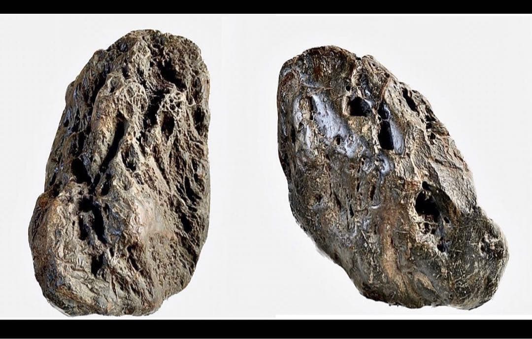 4179 天竜川大ジャグレ真黒石 天龍川石 天竜川石 ウブ 置物 自然石 鑑賞石
