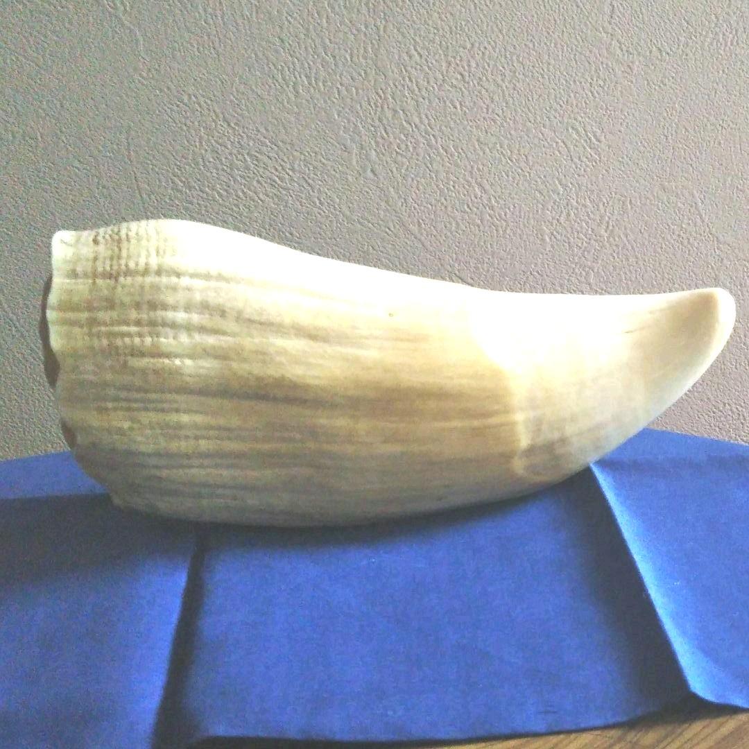 クジラ歯(彫刻物)