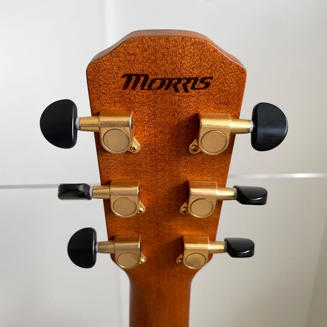 Morris S-30 モーリス アコギ アコースティックギター カッタウェイ