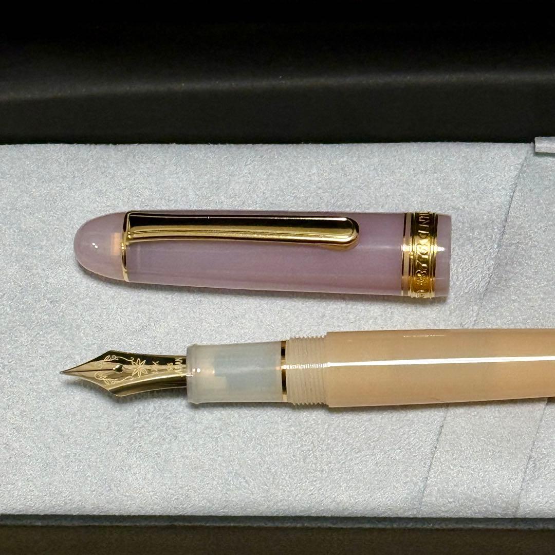 【新品未使用】数量限定品　Nonble チャイティー　プラチナ万年筆　字幅F