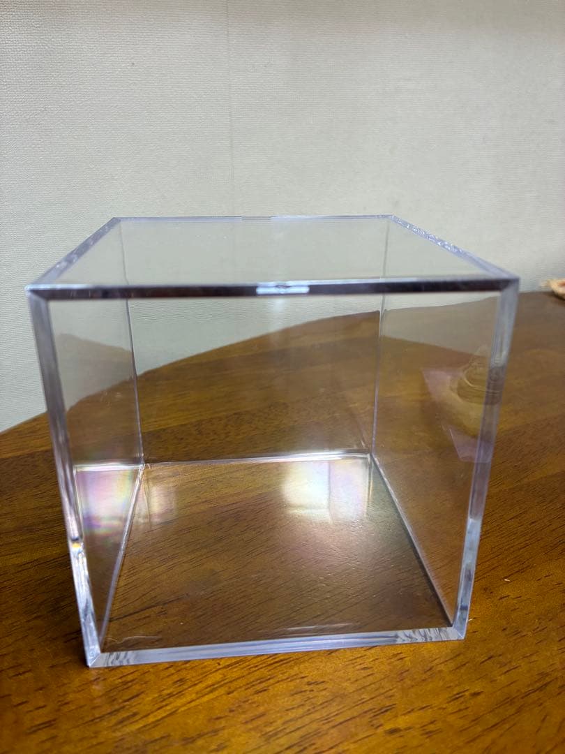 【新品】美女と野獣 ベル エネスコ “Be Kind”　※箱あり