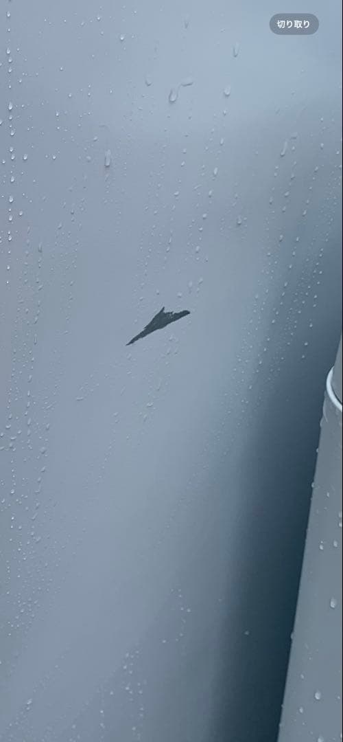 SHARP シャープ 冷蔵庫230L 2ドア SJ-BD23K-W 2023年製