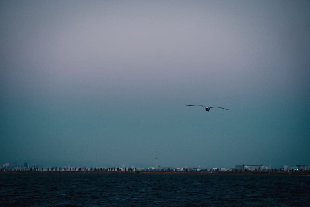 ライカ Leica Elmarit-M 90mm f/2.8 レンズ