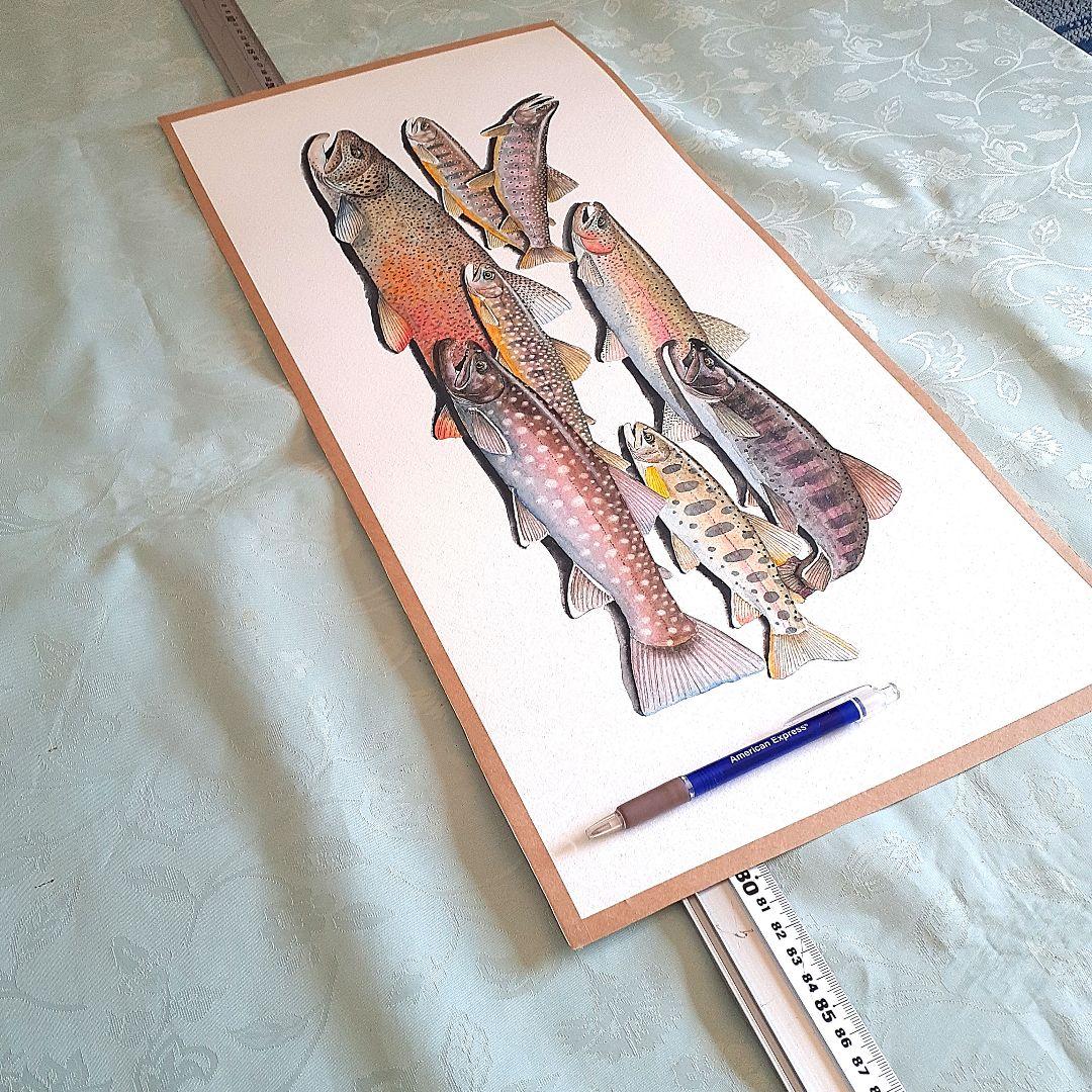 北海道の渓流に住む魚透明水彩画