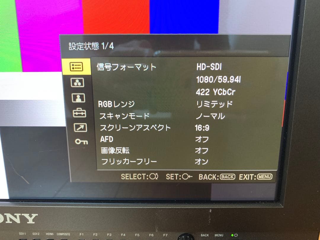 SONY ソニー 業務用ビデオモニター PVM-A170 SKBケース付き