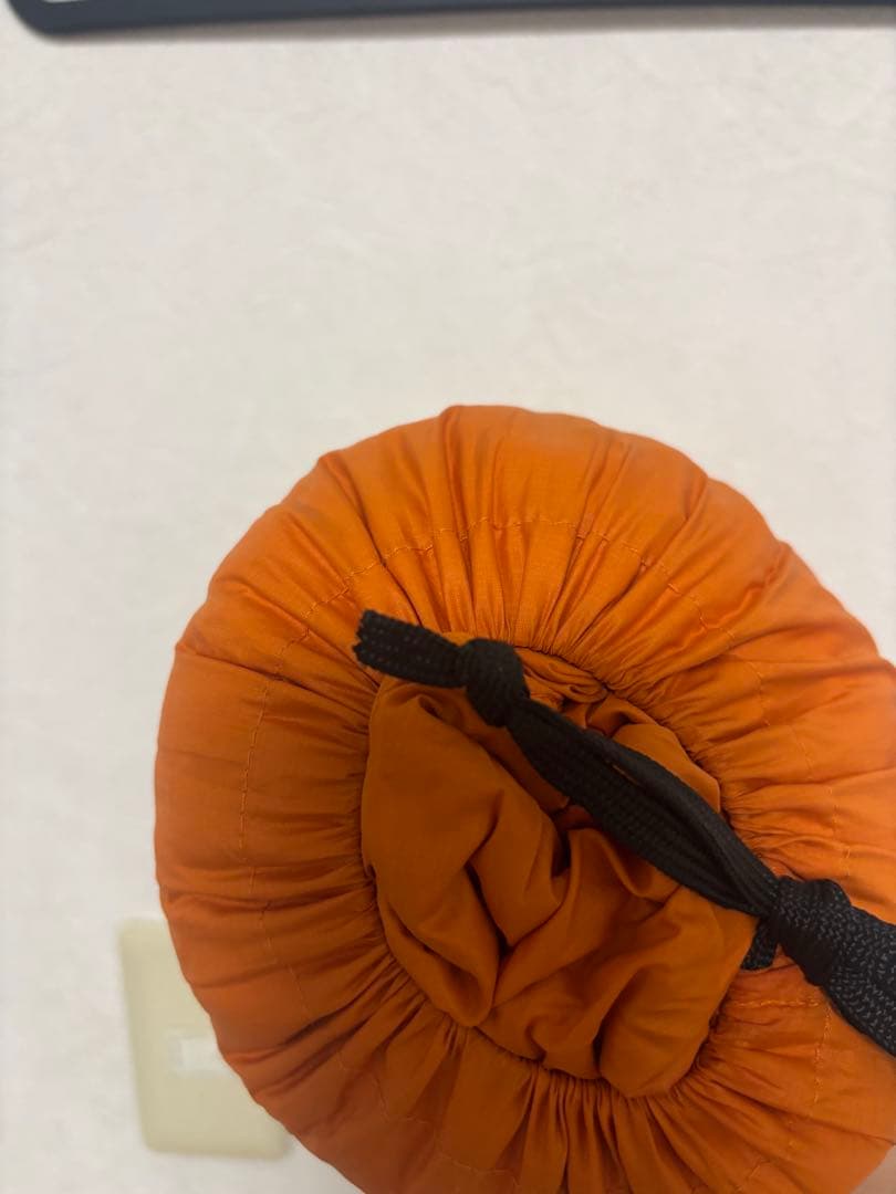 patagonia ダウンジャケット US Sサイズ