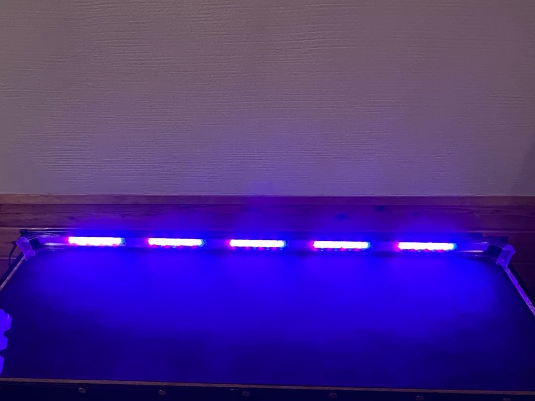 水槽 120cm×45cm×45cm ガラス 外部フィルター LEDライト台付き