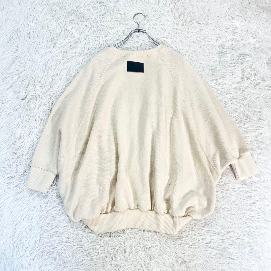 未使用タグ付きコグザビッグスモークHAVANASWEATSHIRTドローコード