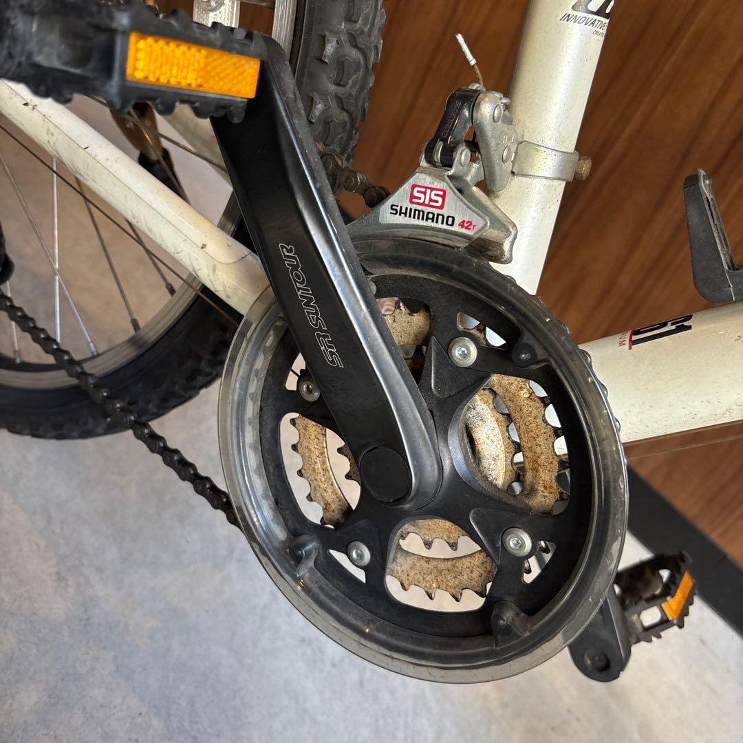 ルイガノ　子供用　自転車　キッズ 女の子　男の子　ジュニア24インチ