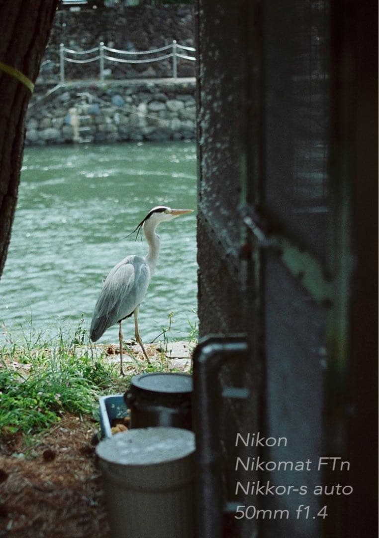 Nikon FTN＊nikkor 50mm f1.4★完動品＊美品＊初期保証