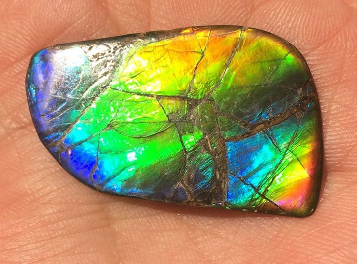 【セール】IMPERIAL アンモライト 両面レインボー レアルース