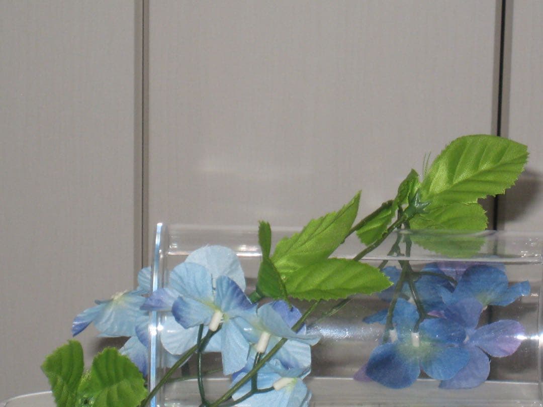 Canon カメラ　IXY 900IS PC1209 充電器　箱 コンデジ　可動