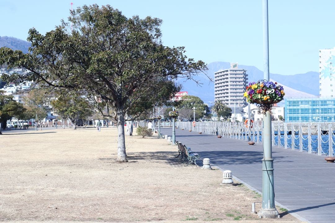 ★ OLYMPUS OM-1 + ★ 標準レンズ 50mm