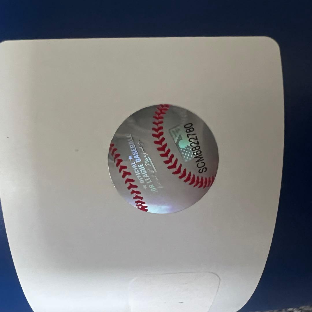 LAドジャースダジアム購入♪ 新品！　大谷翔平WS優勝記念　タンブラー限定