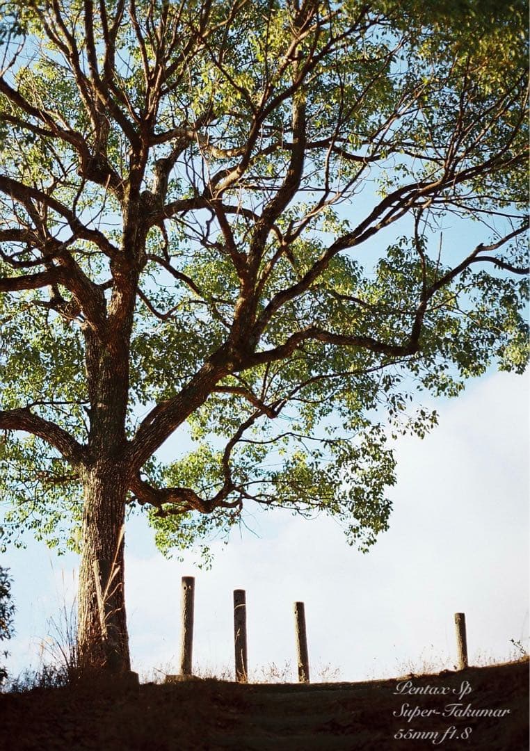 専用出品★pentax sp フルセット+smc takumar 28mm