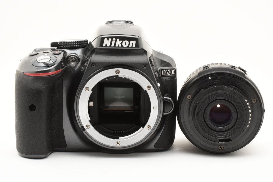 コンパクトで持ち運びやすい✨Nikon D5300✨希少なグレー✨