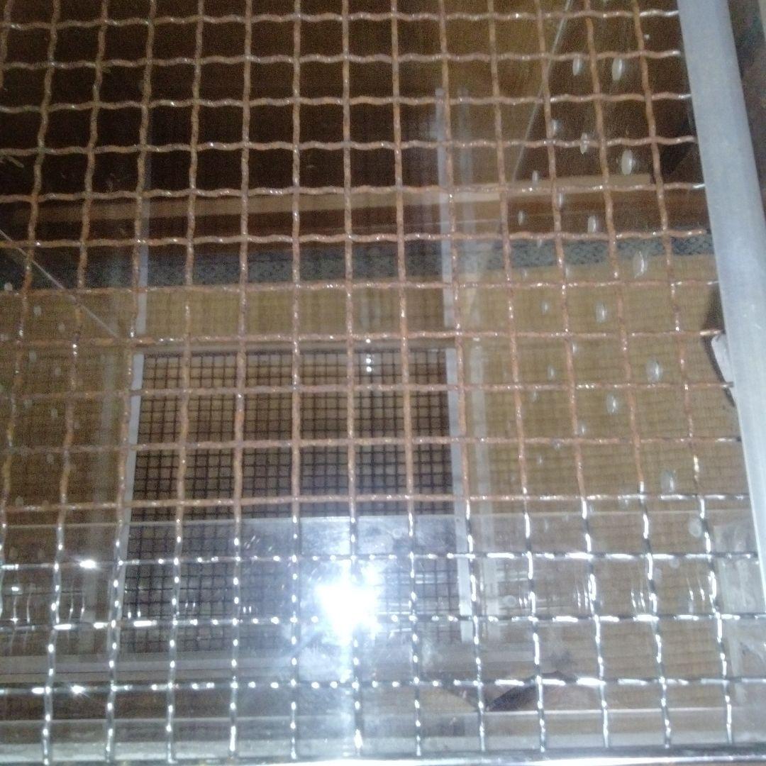 モモンガ用　アクリルケージ