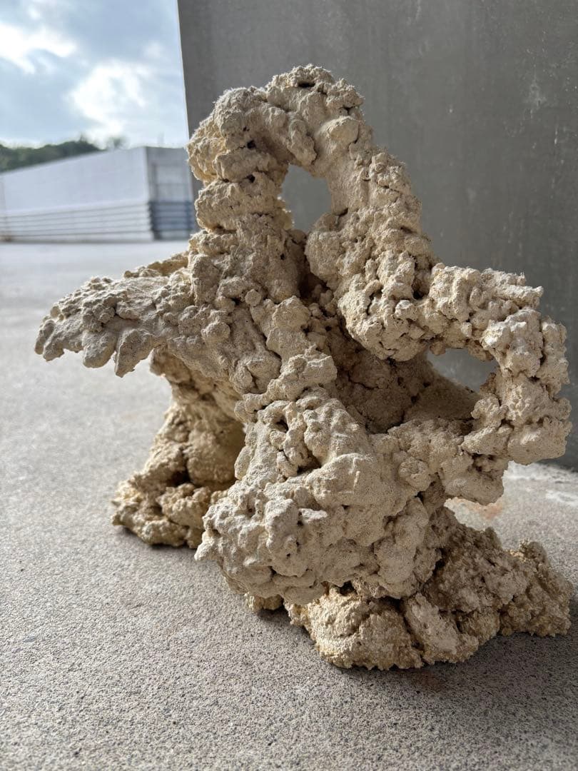 #2 人工ライブロック30cm【一点物】