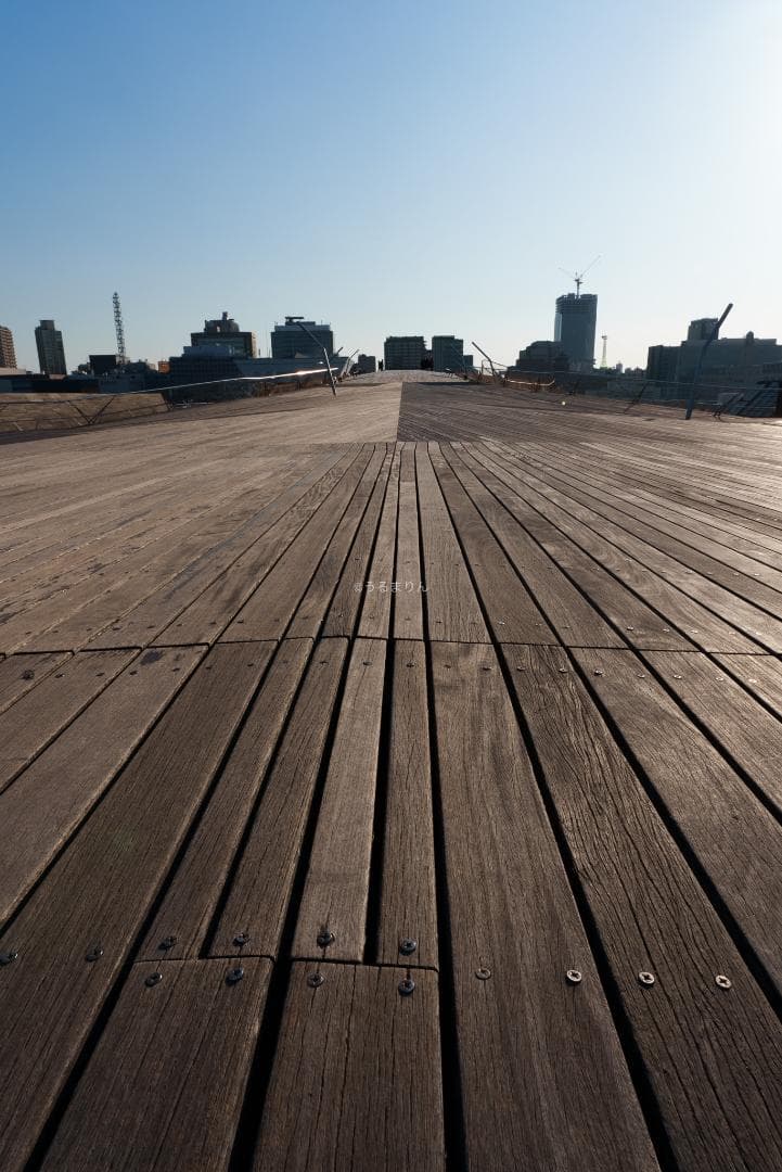 YoshiT様 VLOG時代の標準レンズ！SONY FE 20mm F1.8 G