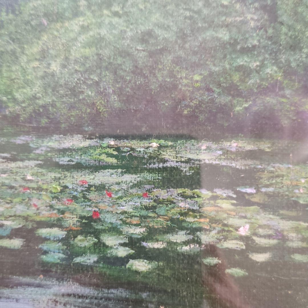 木村秀夫作　睡蓮
