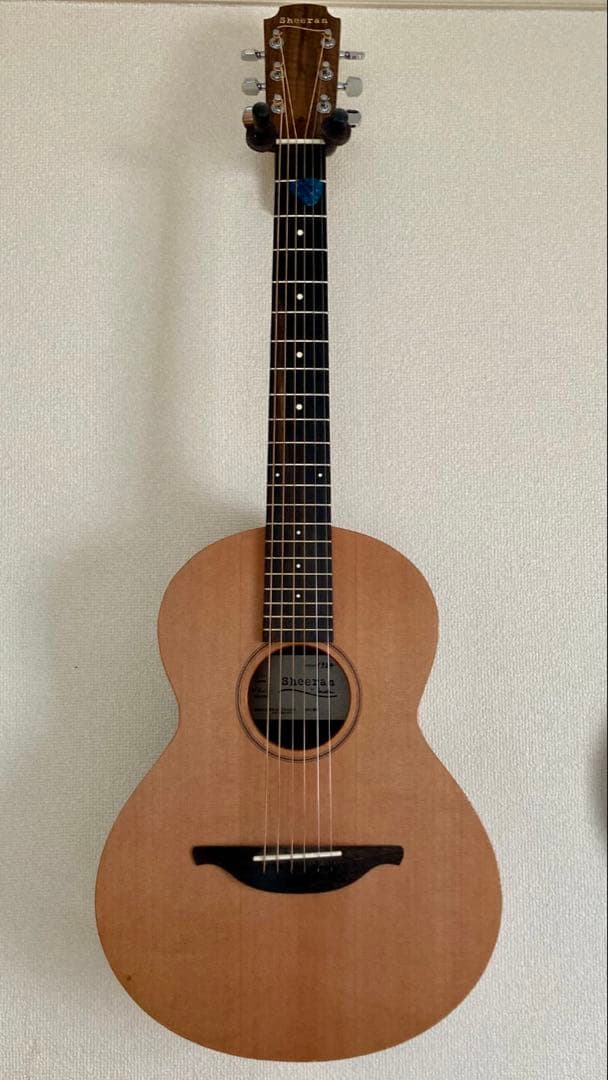 Sheeran by Lowden W01 ローデン　エドシーラン