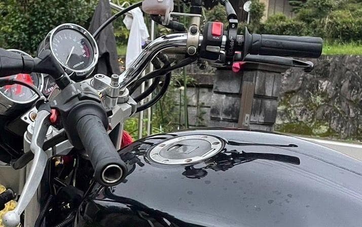 REDSTAGE オリジナル イノシシハンドル メッキ イノハン レッドステージ