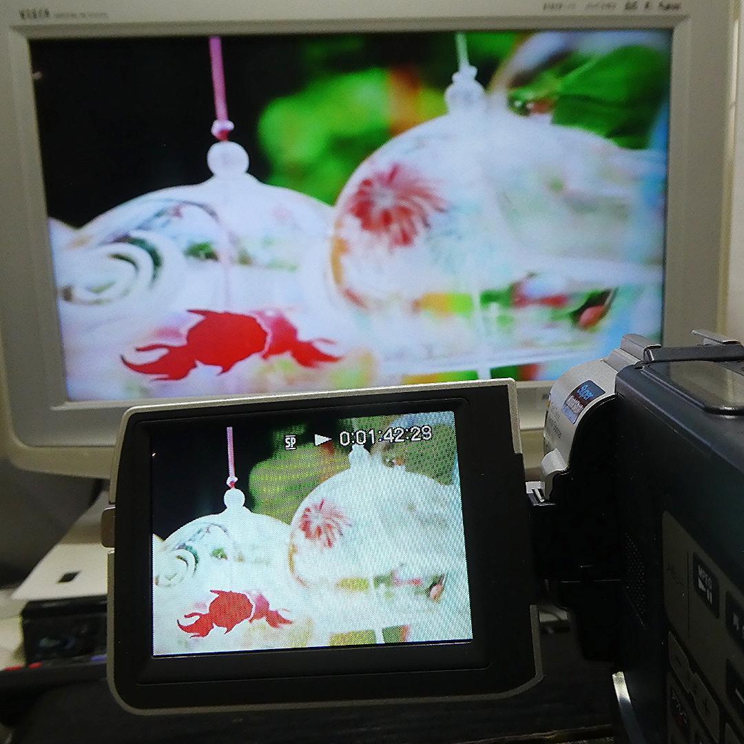 動作品 ソニーDCR-TRV17 MiniDV ビデオカメラ DVDダビングに