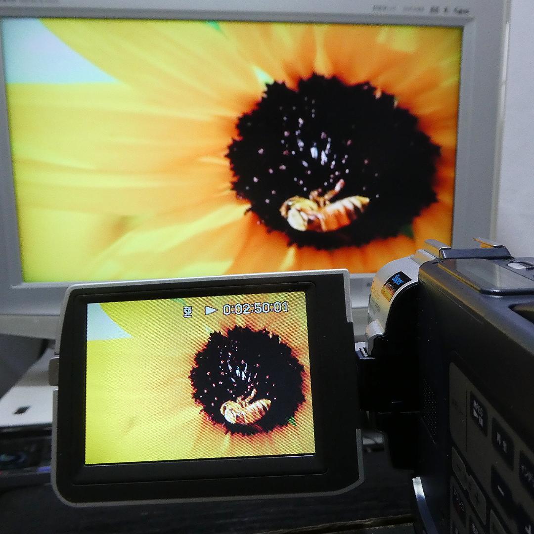 動作品 ソニーDCR-TRV17 MiniDV ビデオカメラ DVDダビングに