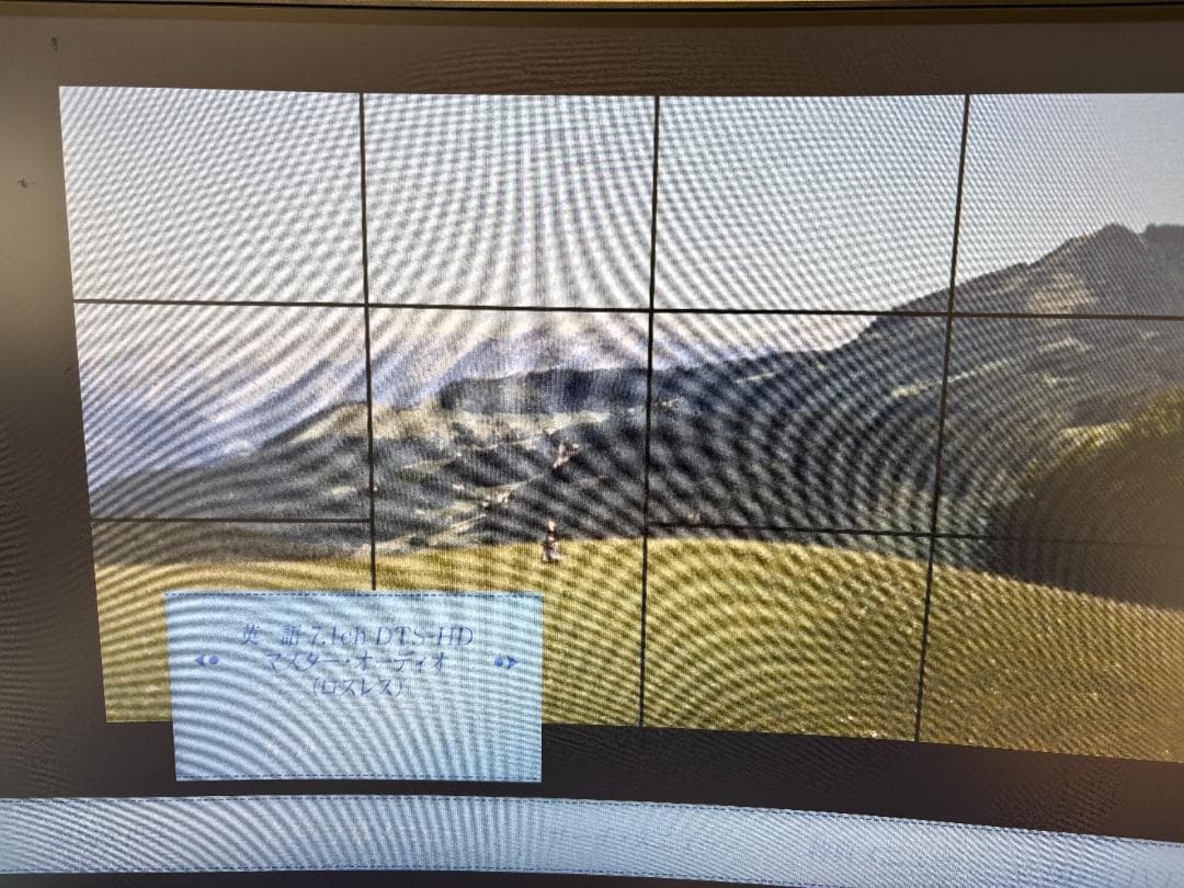 た*ん様 東芝 REGZA DBR-Z110 ブルーレイレコーダー 320GB