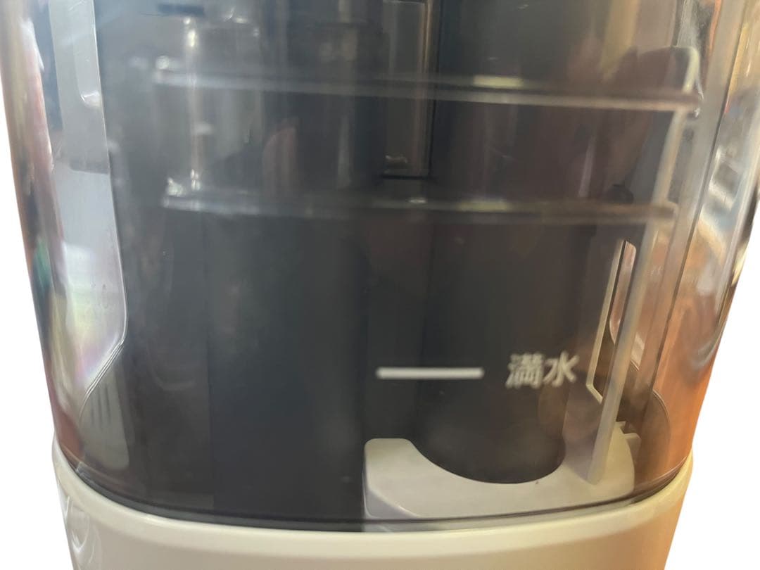 IRIS OHYAMA RNS-P10 カーペットクリーナー リンサークリーナー